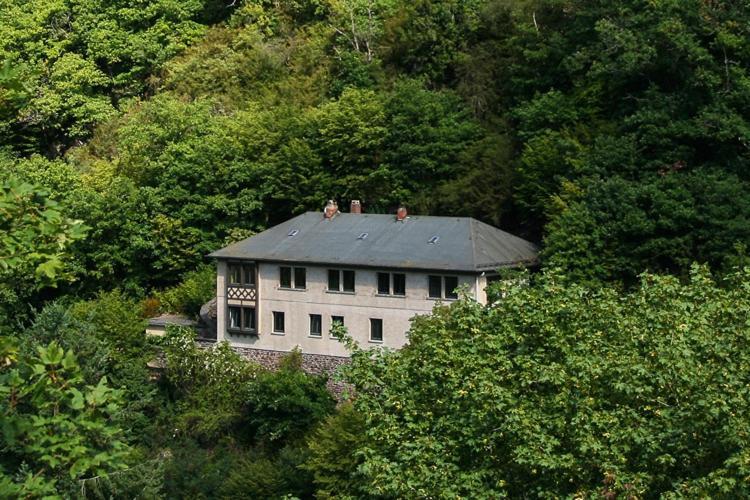 Haus Am Berg Villa Bad Bertrich Ngoại thất bức ảnh